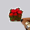 Strawberry Basket Slice Sticker / Magnet