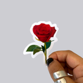 Rose Sticker / Magnet