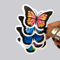 Multicolor Butterfly Sticker / Magnet