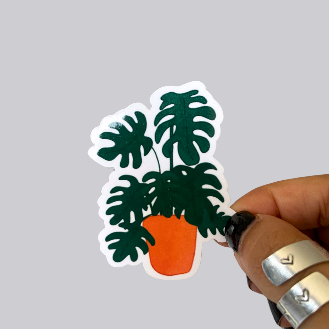 Big Leaf Monstera Sticker / Magnet
