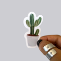 Cactus Sticker / Magnet