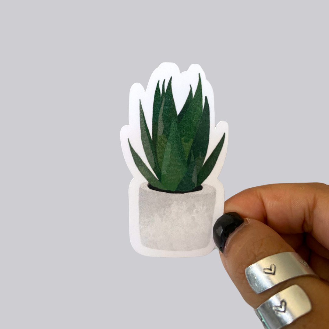 Snake Plant Sticker / Magne
