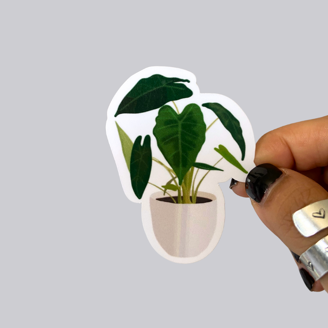 Elaphant Ear Plant Sticker / Magnet