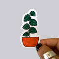 Heart Leaf Plant Sticker / Magnet