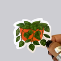 Ivy Plant Sticker / Magnet