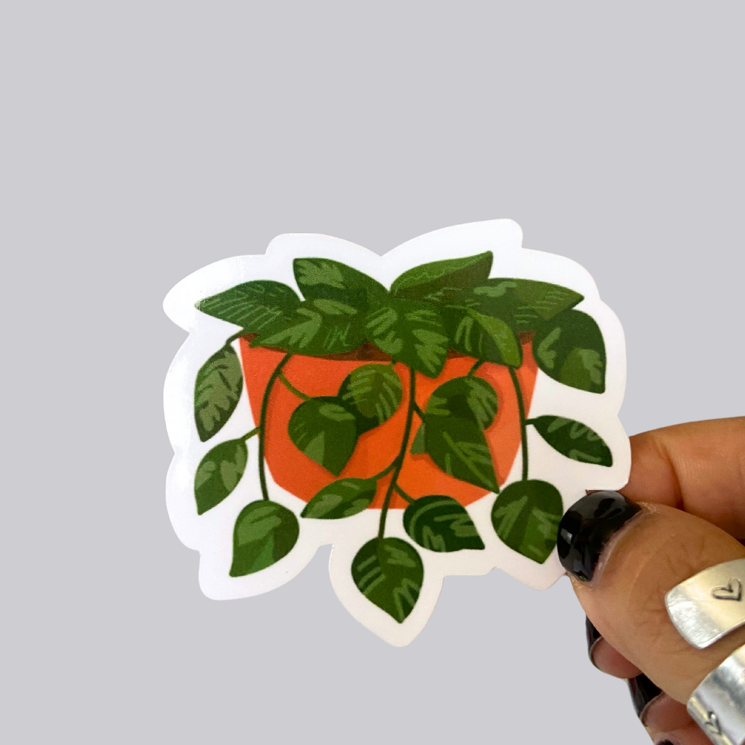 Ivy Plant Sticker / Magnet
