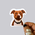Pitbull Sticker / Magnet