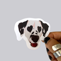 Dalmatian Sticker / Magnet
