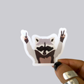 Raccoon Sticker / Magnet