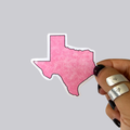Texas Sticker / Magnet