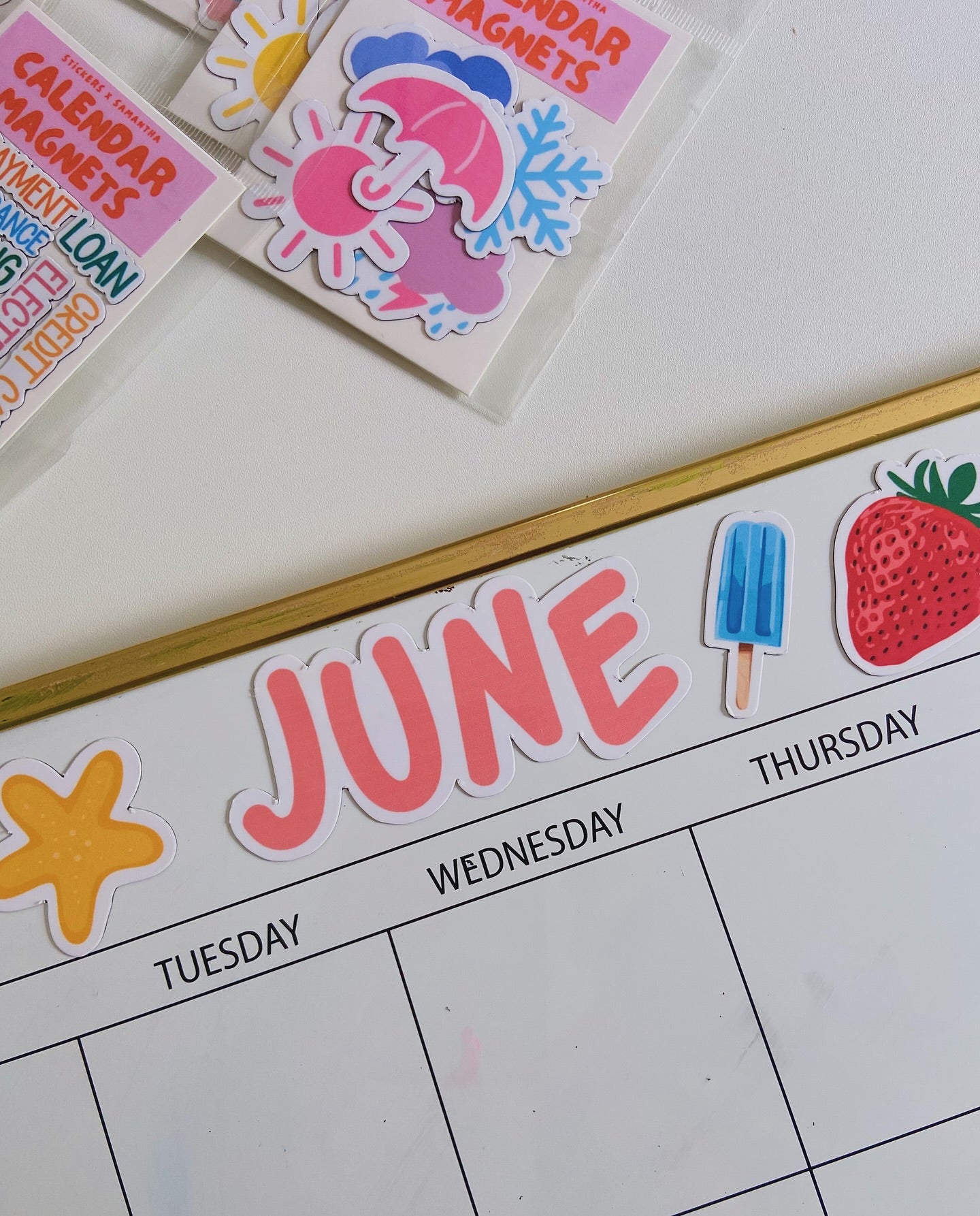June Pride Calendar Magnets
