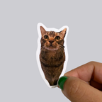 Photo Sticker / Magnet