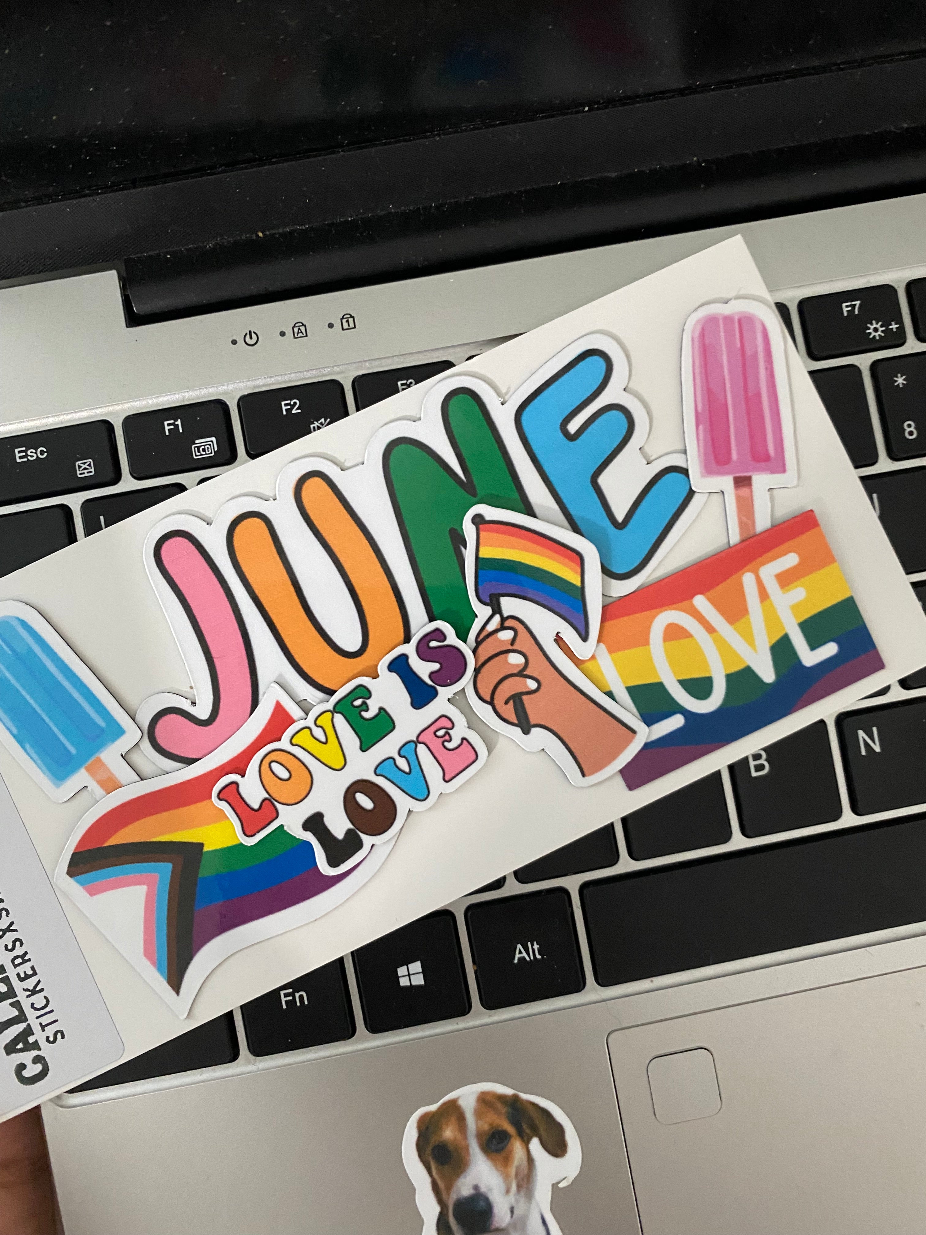 June Pride Calendar Magnets