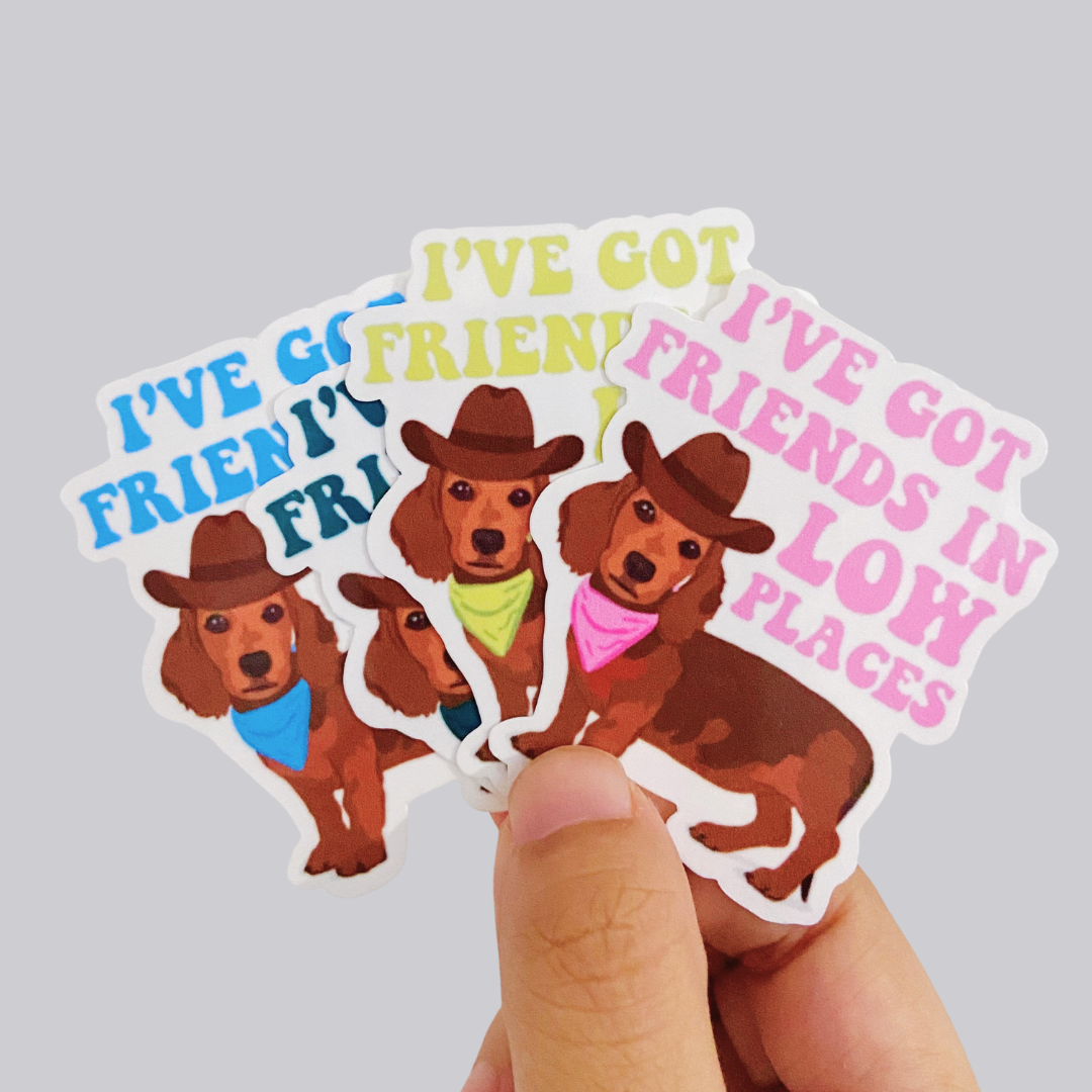 I've Got Friends In Low Places Sticker / Magnet