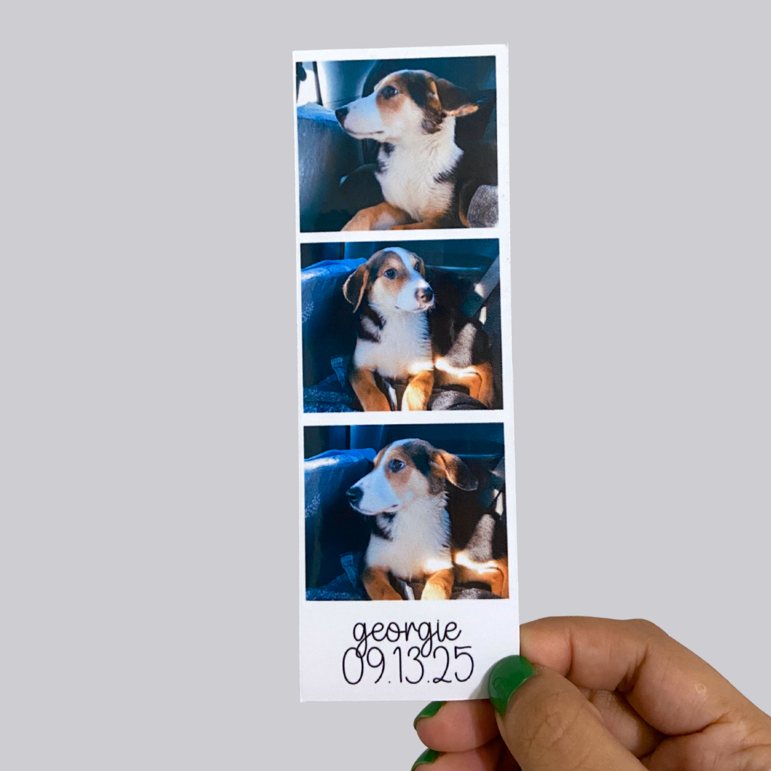 Personalized Photo Strip Sticker / Magnet