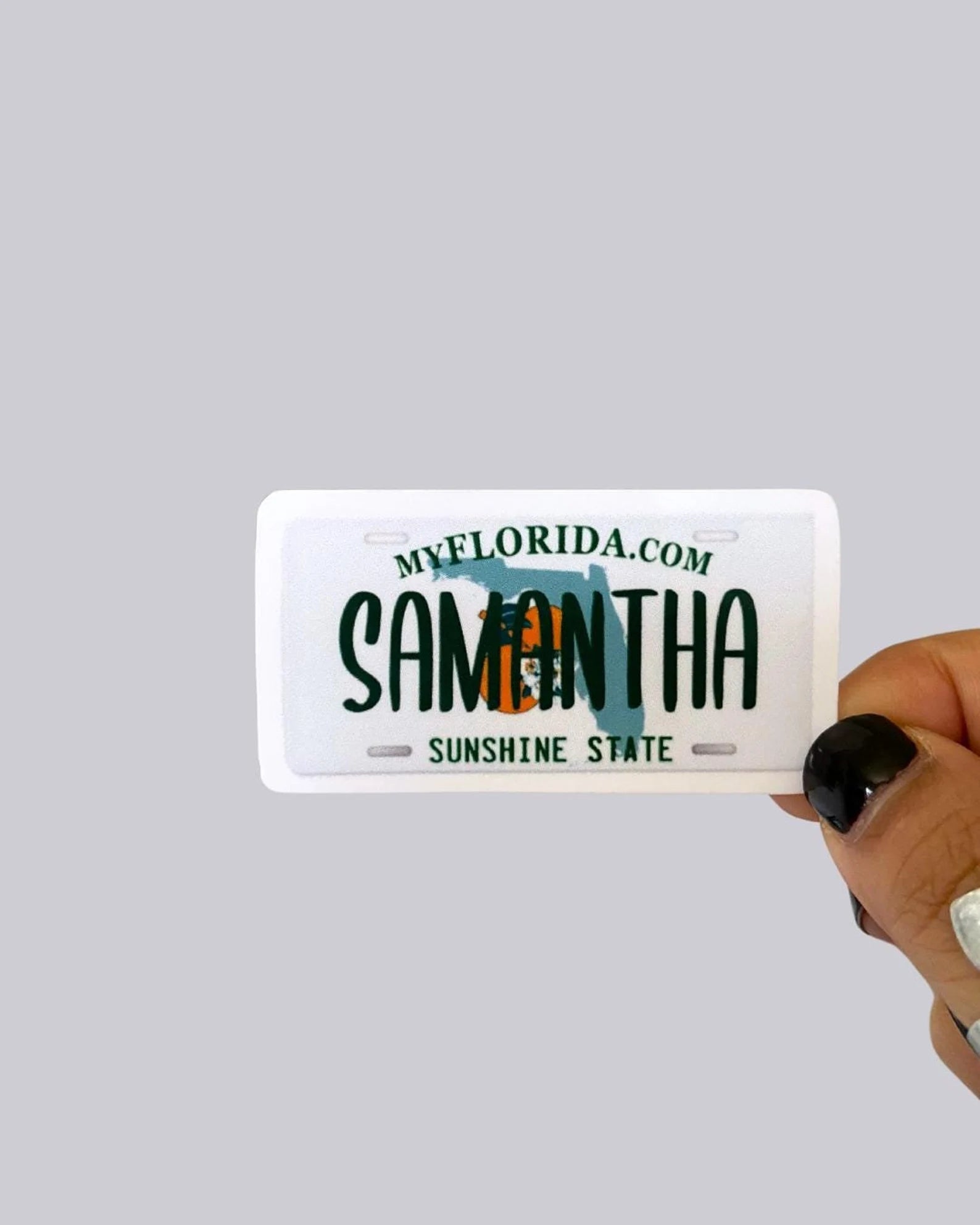 Florida License Plate Waterproof Sticker / Magnet